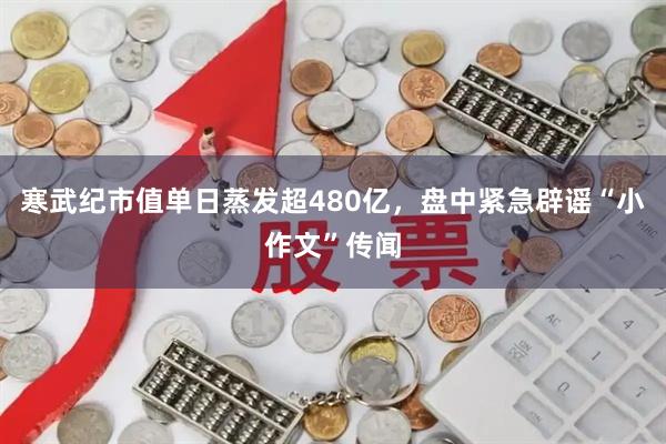 寒武纪市值单日蒸发超480亿，盘中紧急辟谣“小作文”传闻