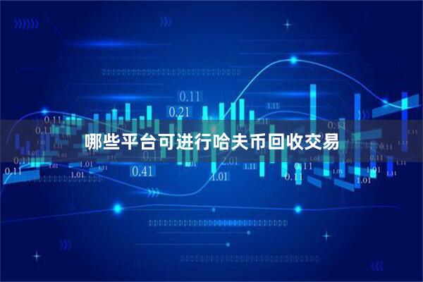哪些平台可进行哈夫币回收交易