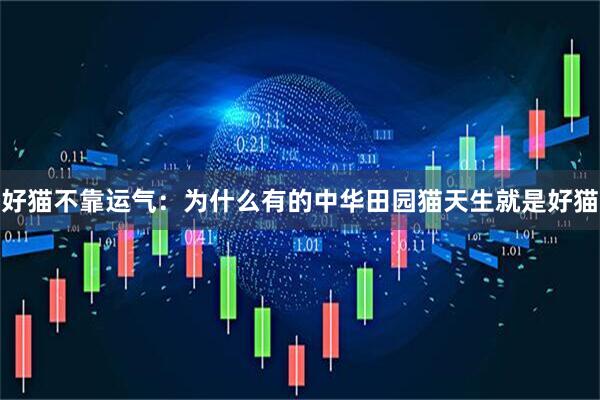 好猫不靠运气：为什么有的中华田园猫天生就是好猫