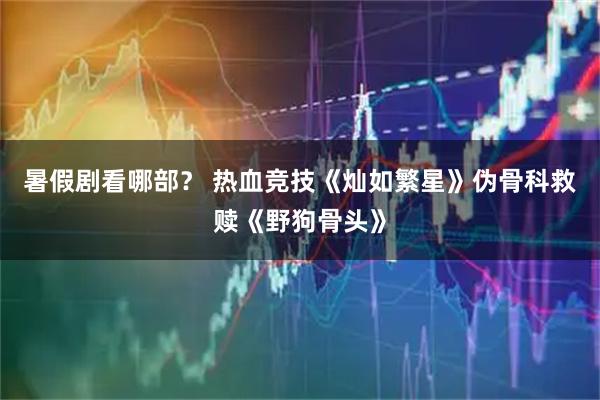 暑假剧看哪部？ 热血竞技《灿如繁星》伪骨科救赎《野狗骨头》