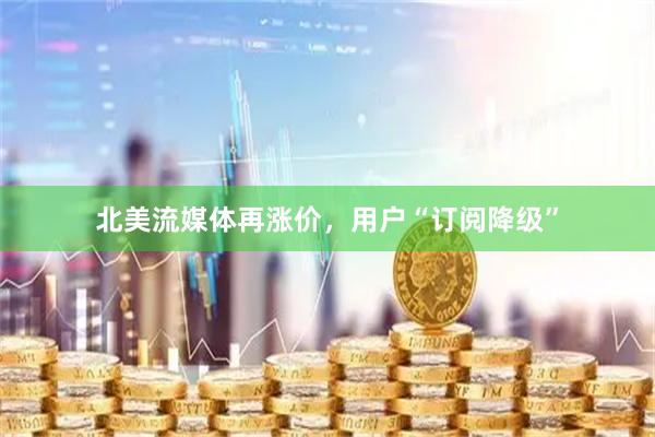 北美流媒体再涨价，用户“订阅降级”